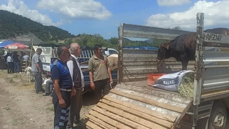Kurban Bayramı Öncesi Hayvan Pazarı Denetimleri Sürüyor