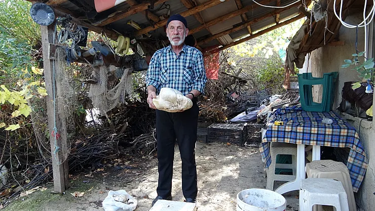 Kütahya'da 3 Kilo Dev Mantar Bulundu