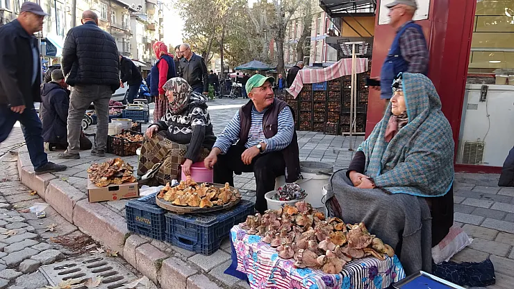 Kütahya'da Melki Mantarı Çoğaldı, Fiyatlar Düştü