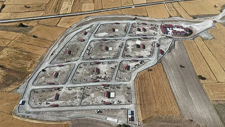 Kütahya'da Sahipsiz Hayvanlar İçin Doğal Yaşam Alanı Tamamlandı