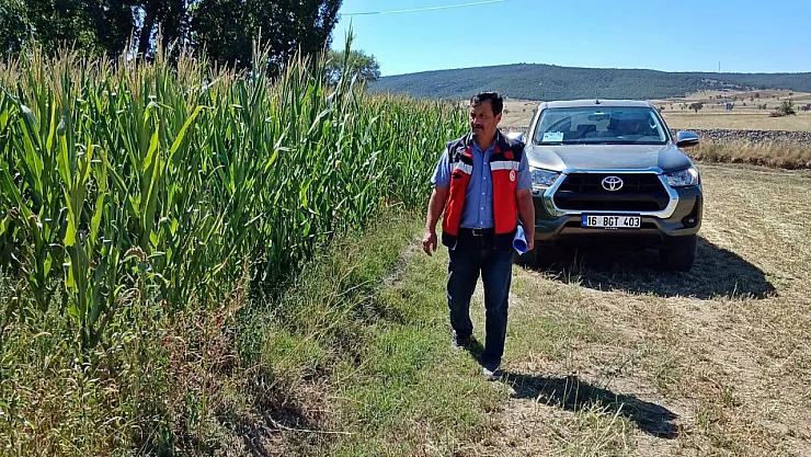 Kütahya'da Silajlık Mısır Kontrolleri