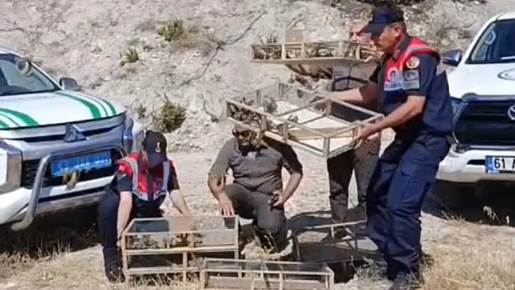 Kütahya'da Yakalanan 142 Saka Kuşu Doğaya Salındı