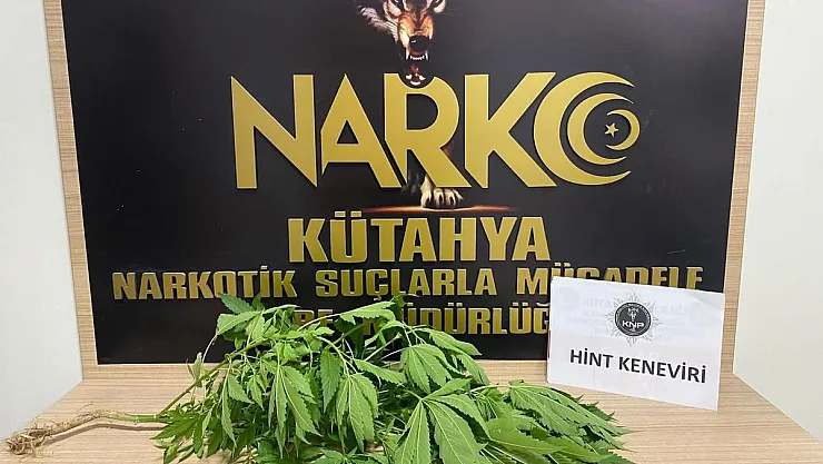 Kütahya'daki narkotik operasyonlarında 4 günlük bilanço