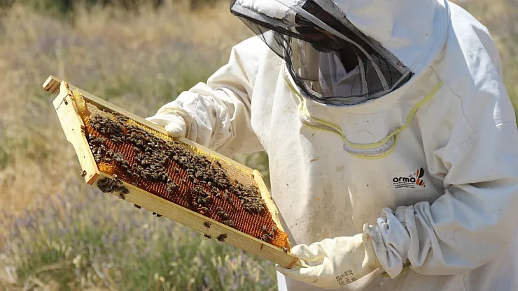 Lavanta Bahçeleri Hem Göze Hem Damağa Hitap Ediyor