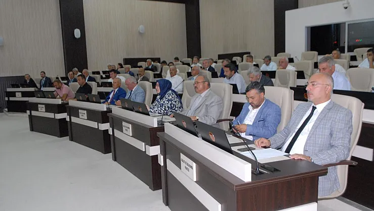 'Madem meclis üyelerinin hakkı yok, Genel Sekreter tek başına yönetsin!'
