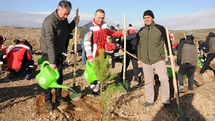 Maden Sahasına 6 Bin Fidan Dikildi