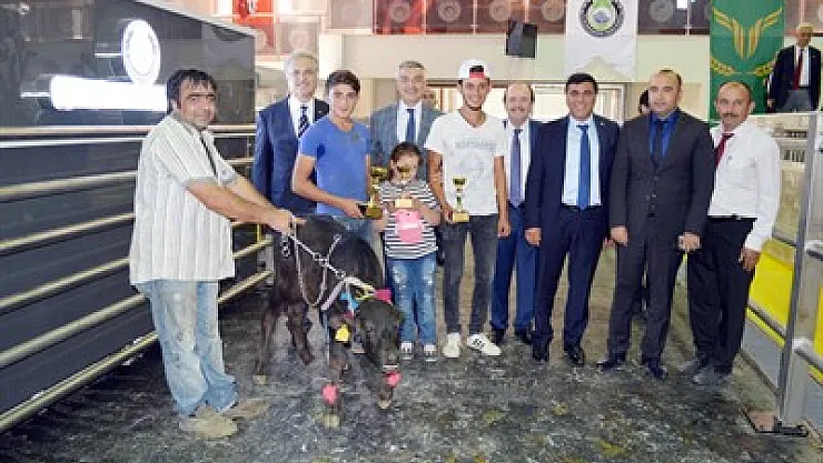 Malak Yarışması, Afyon'da yapıldı – Kocatepe Gazetesi