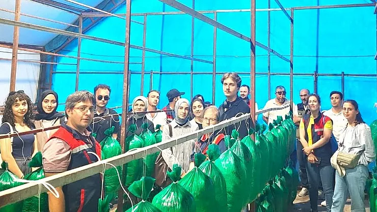 Mantar Üretimini Yerinde Gördüler