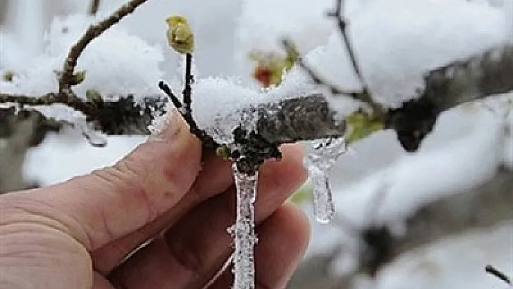 Meteoroloji'den zirai don uyarısı