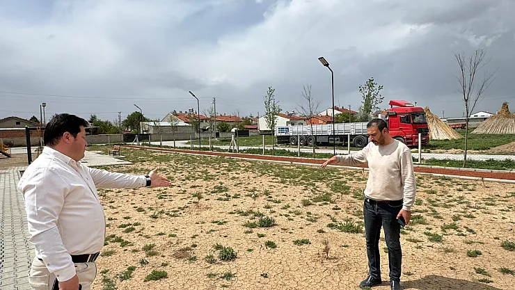 Molozlar İçin Seferberlik