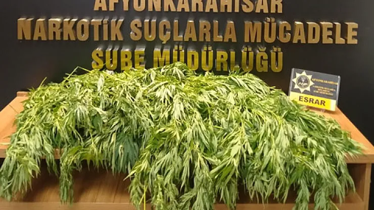 Narkotik Şube'den uyuşturucu operasyonu