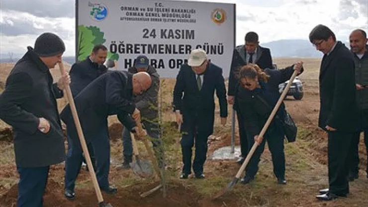 Öğretmenlere özel orman oluşturuluyor – Kocatepe Gazetesi