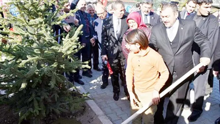 Okullar ağaçlandırılıyor – Kocatepe Gazetesi