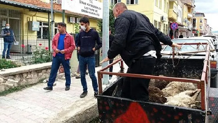 Ölen 6 kuzusunu, İlçe Tarım Müdürlüğü önüne bıraktı