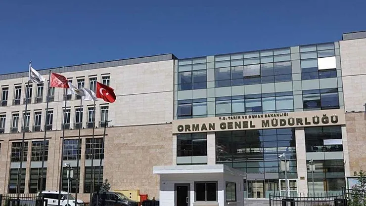 Orman Genel Müdürlüğü'ne 69 İşçi Alacak