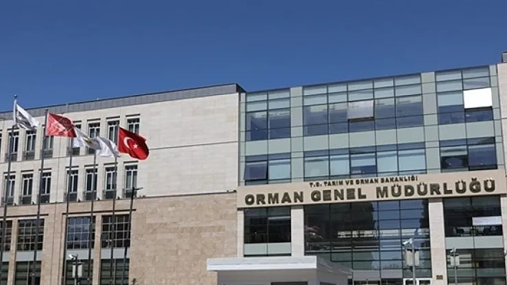Orman Genel Müdürlüğüne 105 Personel Alınacak