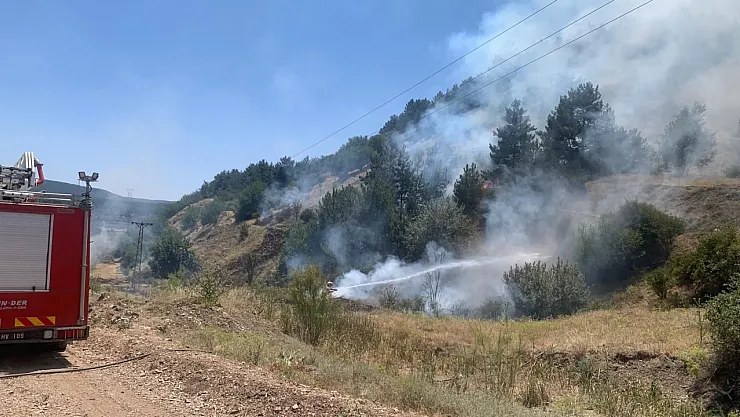 Orman Yangını Erken Müdahaleyle Söndürüldü