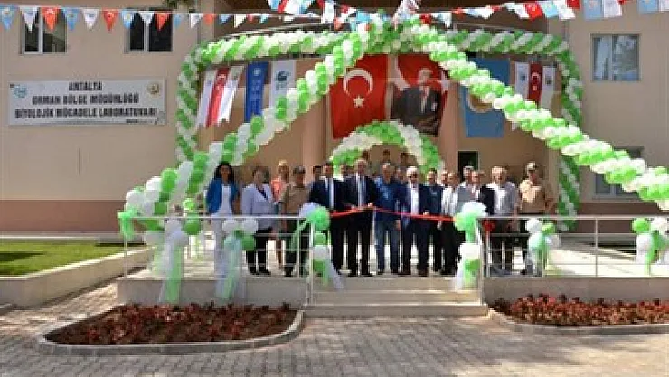 Orman zararlıları ile mücadele ediliyor