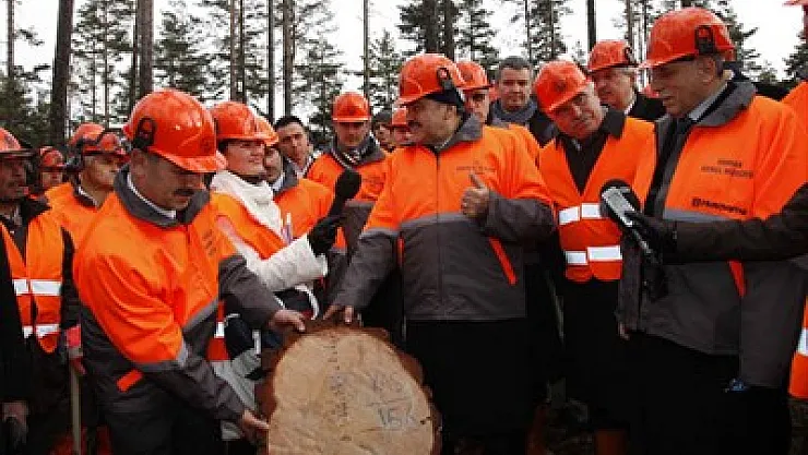 Ormancılık sektörü dünyaya açılıyor – Kocatepe Gazetesi