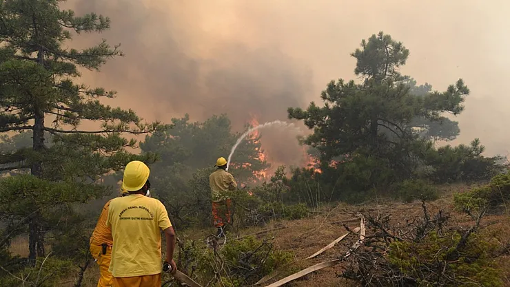 Ormanlık Alanlara Girişler Yasaklandı