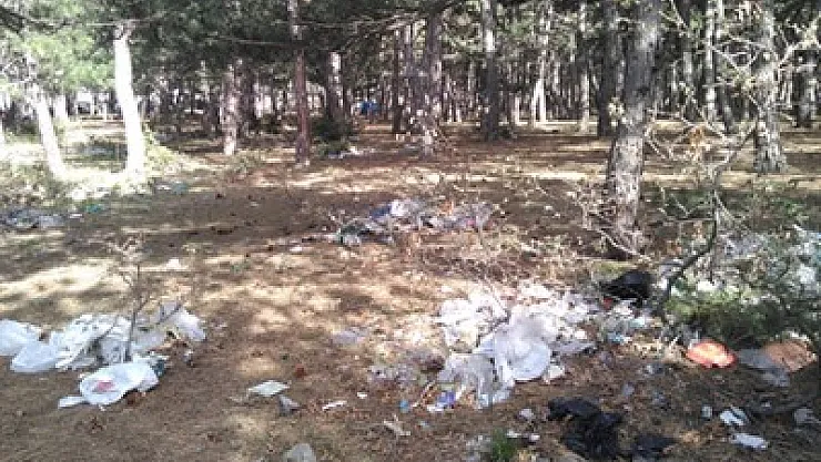 Ormanlık piknik alanı çöpten geçilmiyor