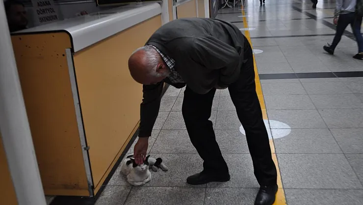 Otogarı mesken edinen ‘Paskal’ yazıhanenin maskotu haline geldi