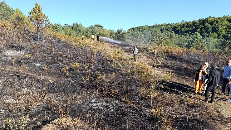 Pazaryeri Bozcaarmut'ta Orman Yangını