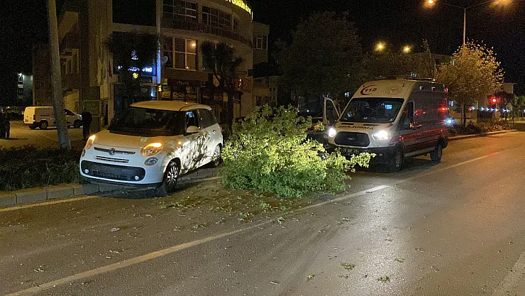 Refüje Çıkarak Kaza Yapan Şoför, Araçtaki Yaralıları Bırakıp Kaçtı!