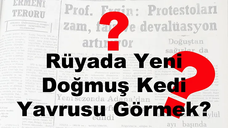 Rüyada Yeni Doğmuş Kedi Yavrusu Görmek?