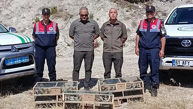 Saka Kuşu Avına Gitti, Avlandı