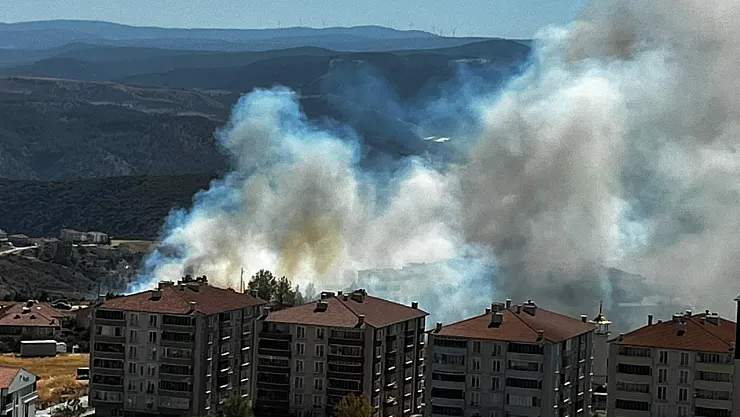 Salça Yaparken Çıkan Kıvılcımla 30 Dönüm Makilik Alanı Kül Oldu