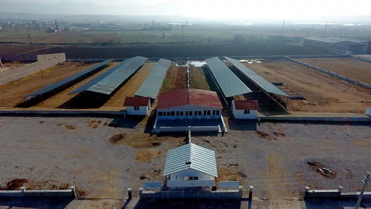 Sandıklı'ya bölgenin en büyük hayvan pazarı yarın açılıyor