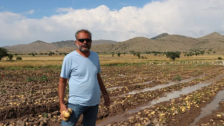 Sel basan tarlada 35 ton patates toplanmayı bekliyorı