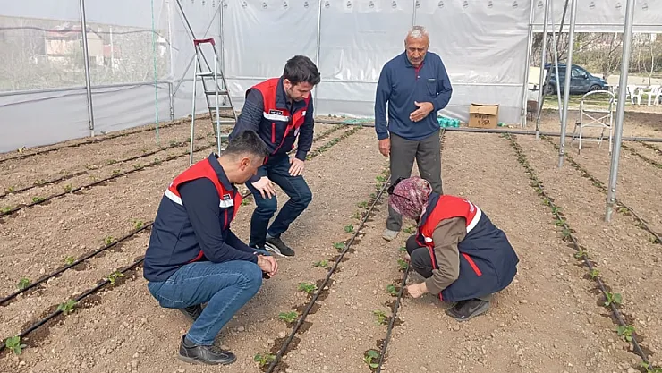 Sera Yerlerinde Üreticiler Bilgilendiriliyor