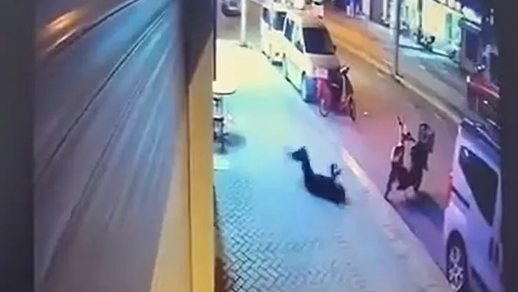 Sevgilinin ölümünden dolayı tutuklanan zanlı kendisini savunurken şiir okudu