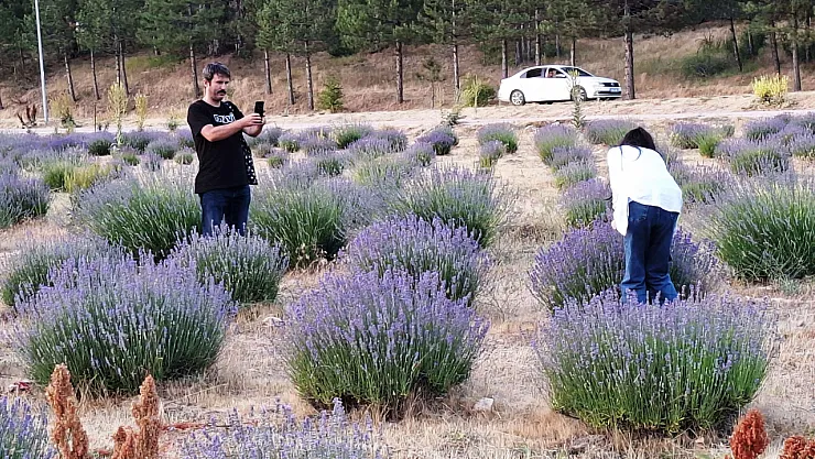Simav Gölcük Yaylasındaki Lavanta Bahçesi Doğal Stüdyo Alanı Haline Geldi