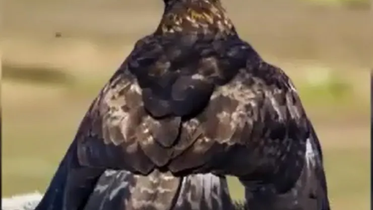 Soğukta 4 saatlik bekleşin ardından bu poz ortaya çıktı