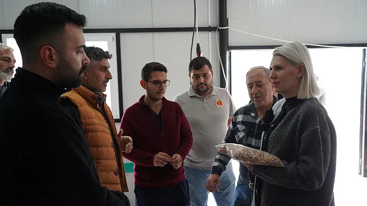 Sokak Hayvanları İçin Ücretsiz Mama Üretiliyor