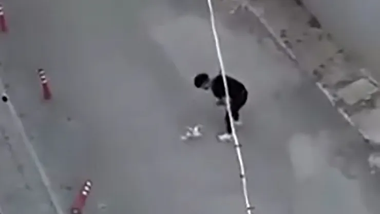 Sokak Ortasında Köpeğine Eziyet Eden Şahıs Sevk Edildiği Mahkemece Serbest Bırakıldı