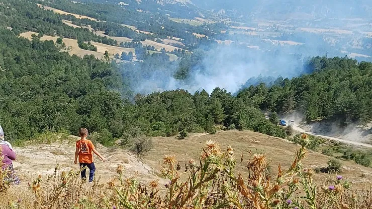 Son 2 Günde 3’üncü Orman Yangını