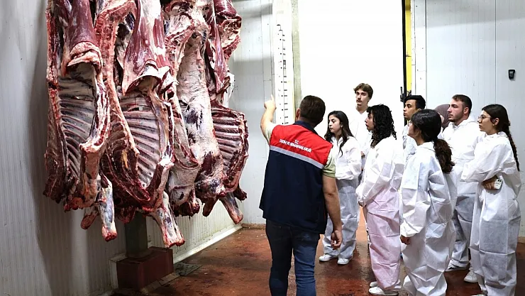 Stajyer Öğrenciler Mezbaha İnceledi