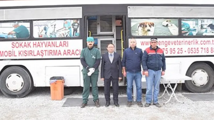 Şuhut'ta sokak hayvanları rehabilite ediliyor