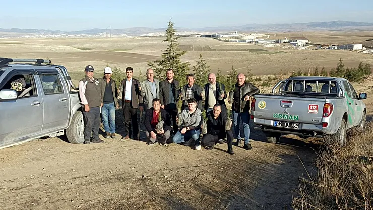 Susuz Boğazı'nda Yeşil Seferberlik