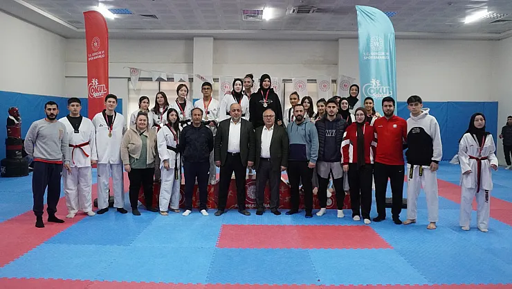 'Taekwondo, Disiplin ve Azmin Sporu'