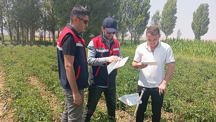 Teknik Ekipler Sahada Ürünleri Kontrol Ediyor