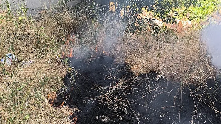 Temizlik Amaçlı Yakılan Otlar Kontrolden Çıktı