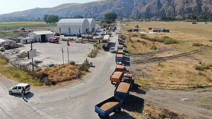 TMO Alım Noktası Bu Yıl Da İnönü'de Hizmette