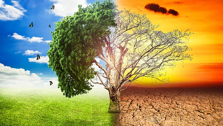 TSM çalışanlarına eğitim toplantısı – Kocatepe Gazetesi