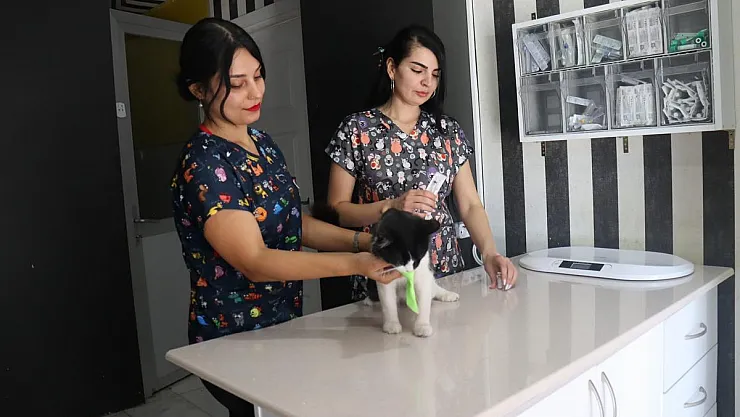 Türkiye kuduz için 'en riskli ülkeler' kategorisine alındı