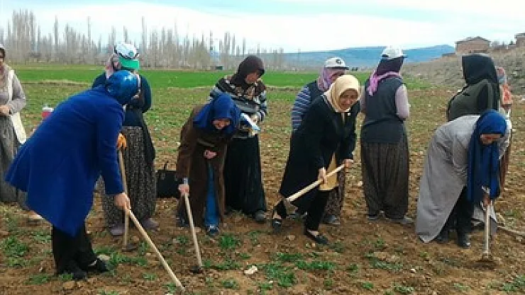 'Türkiye yeni sistemle atılım yapacak'
